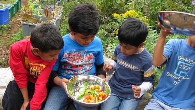 Green Thumbs Growing Kids - children in program